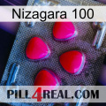 Nizagara 100 13